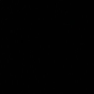 Meet your Posher, Harrison